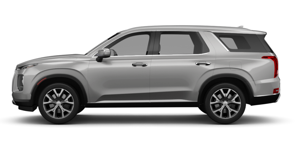 Hyundai Palisade side view